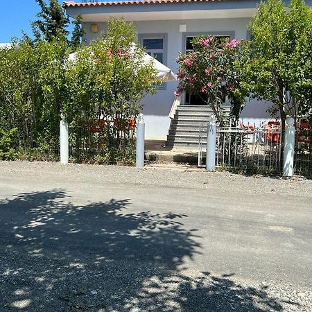 Guest House Andersoni Dhoma Plazhi Andersoni Shen Ded Gjoni Eksteriør billede